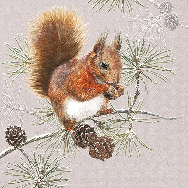 Besuche den Ambiente-Store Serviette Eichhörnchen im Winter 20 Stück — Advent und Tisch