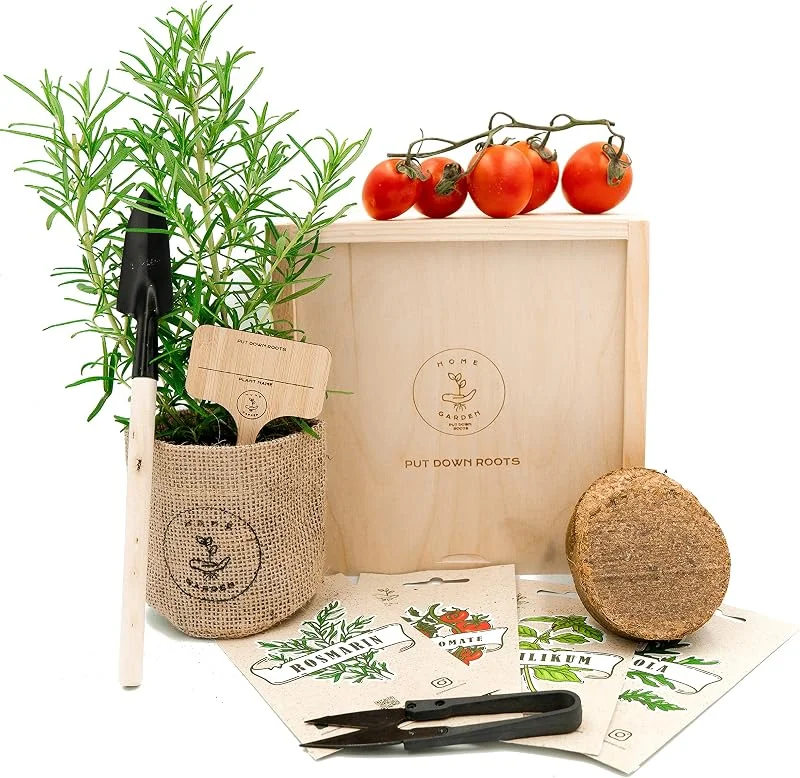 Besuche den PUT DOWN ROOTS-Store MEDITERRANE ANZUCHTSET 4 Sorten Pflanzen Samen- garten Starter-Set, öko Saatgut mit Holzkiste mit deckel, mini gewächshaus, kinderküche zubehör, Kinder Anzuchtset von PUT DOWN ROOTS — Geschenkverpackung