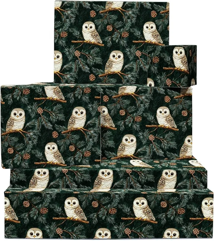 Besuche den Central 23-Store Central 23 Eulen-Geschenkpapier – 6 Blatt – Baummotiv – Vogel – Wald – Recycelbar – mit Aufklebern — Geschenkverpackung